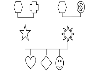 Leeds Safeguarding Children Partnership - practitioners-tool-kit - genogram example